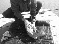 Fa-i poza daca poti...